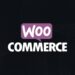 WooCommerce Kosten